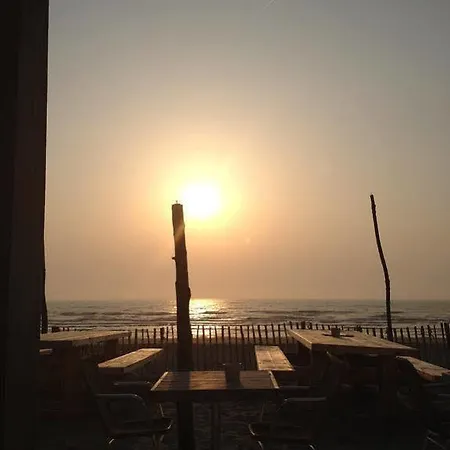Noordzee Daire Zandvoort