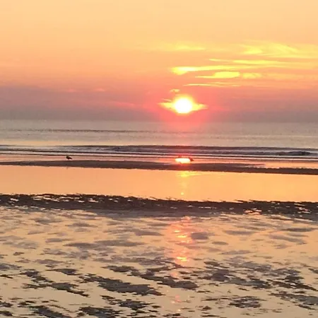 Noordzee Apartman *